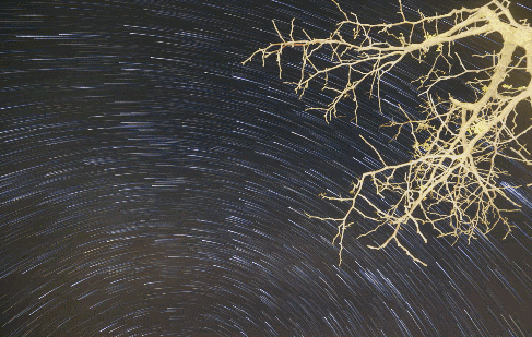 黃河·宿集，你想要的快意江湖就在這里