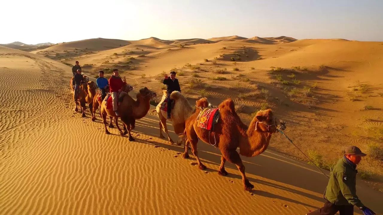 黃河·宿集，你想要的快意江湖就在這里