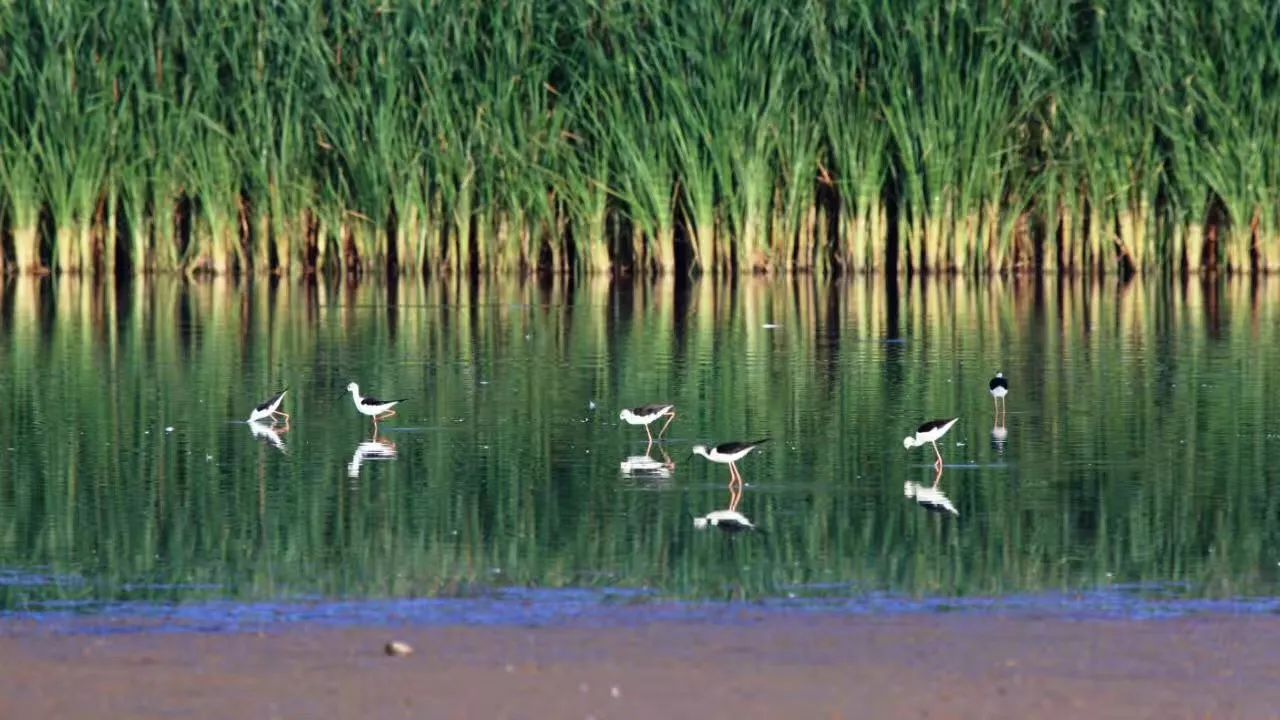 黃河·宿集，你想要的快意江湖就在這里