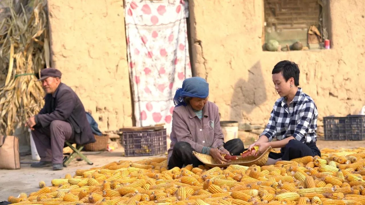 黃河·宿集，你想要的快意江湖就在這里