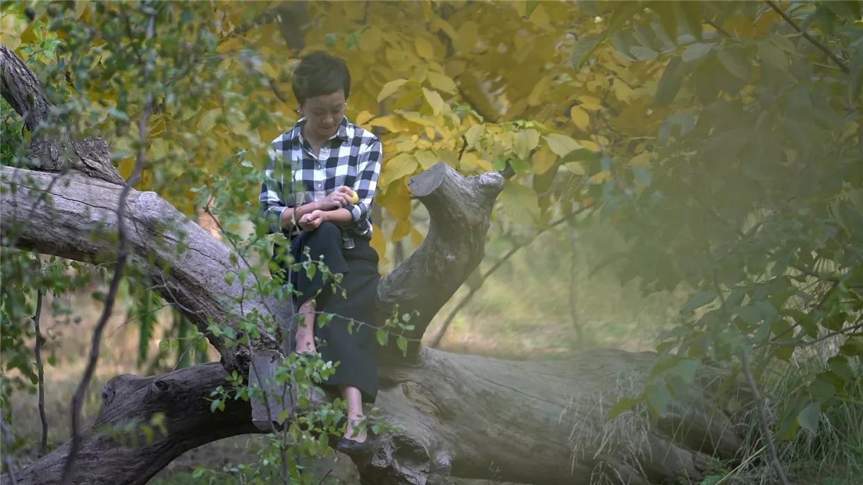 黃河·宿集，你想要的快意江湖就在這里