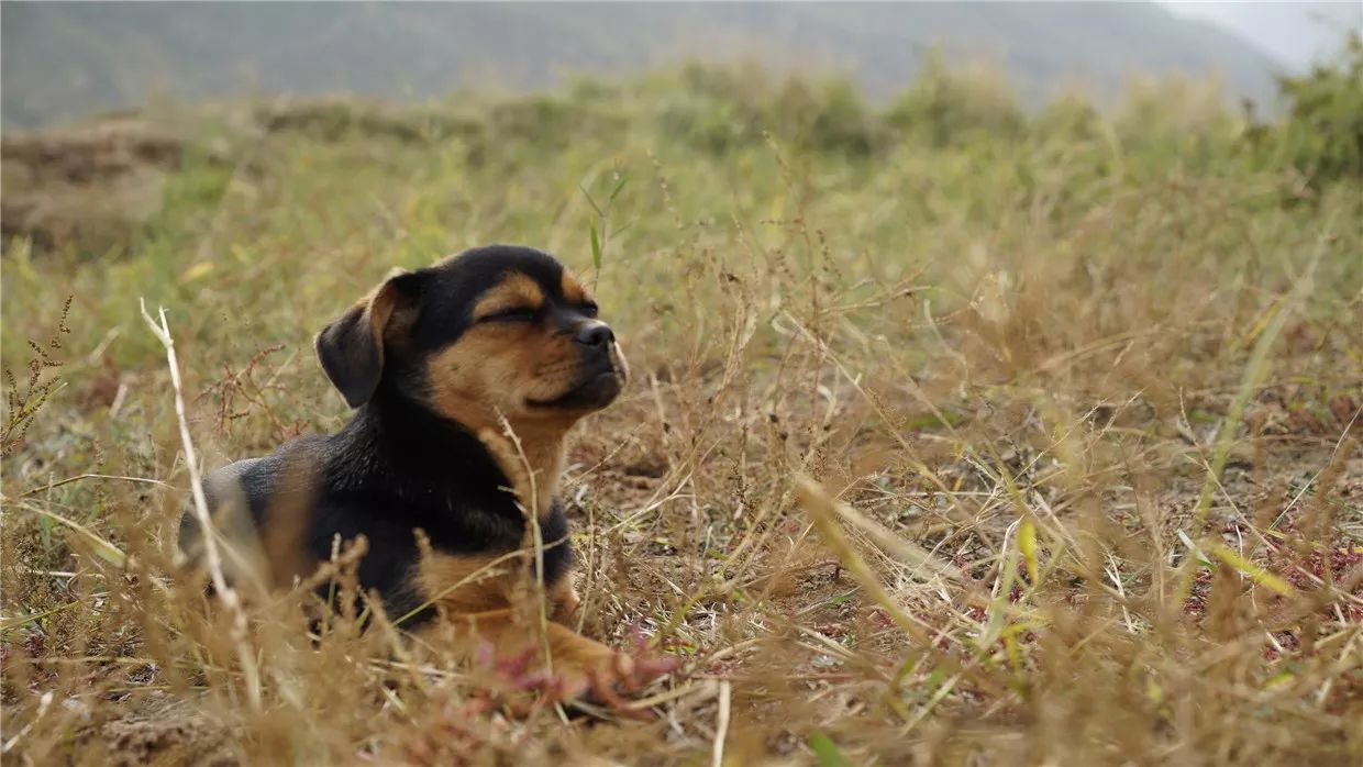 黃河·宿集，你想要的快意江湖就在這里