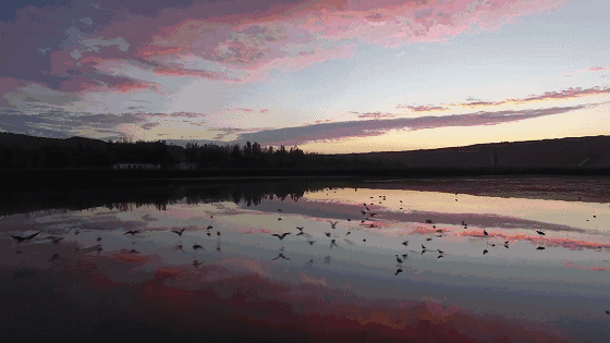 黃河·宿集，你想要的快意江湖就在這里
