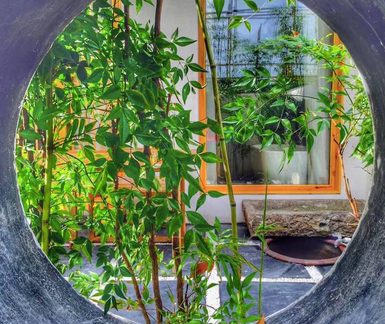 烏鎮(zhèn)·青壚，江南水鄉(xiāng)最美一隅就如黃昏一簾幽夢