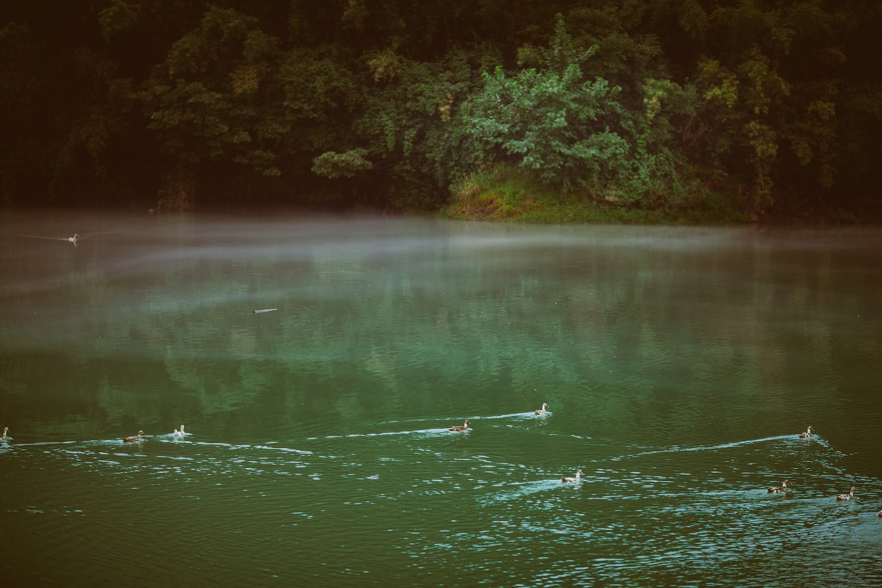 莫干山·三秋美宿，一日不見三秋盼兮
