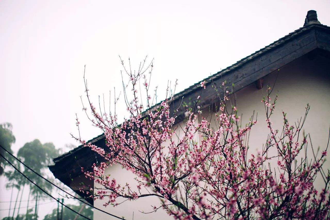 莫干山·三秋美宿，一日不見三秋盼兮