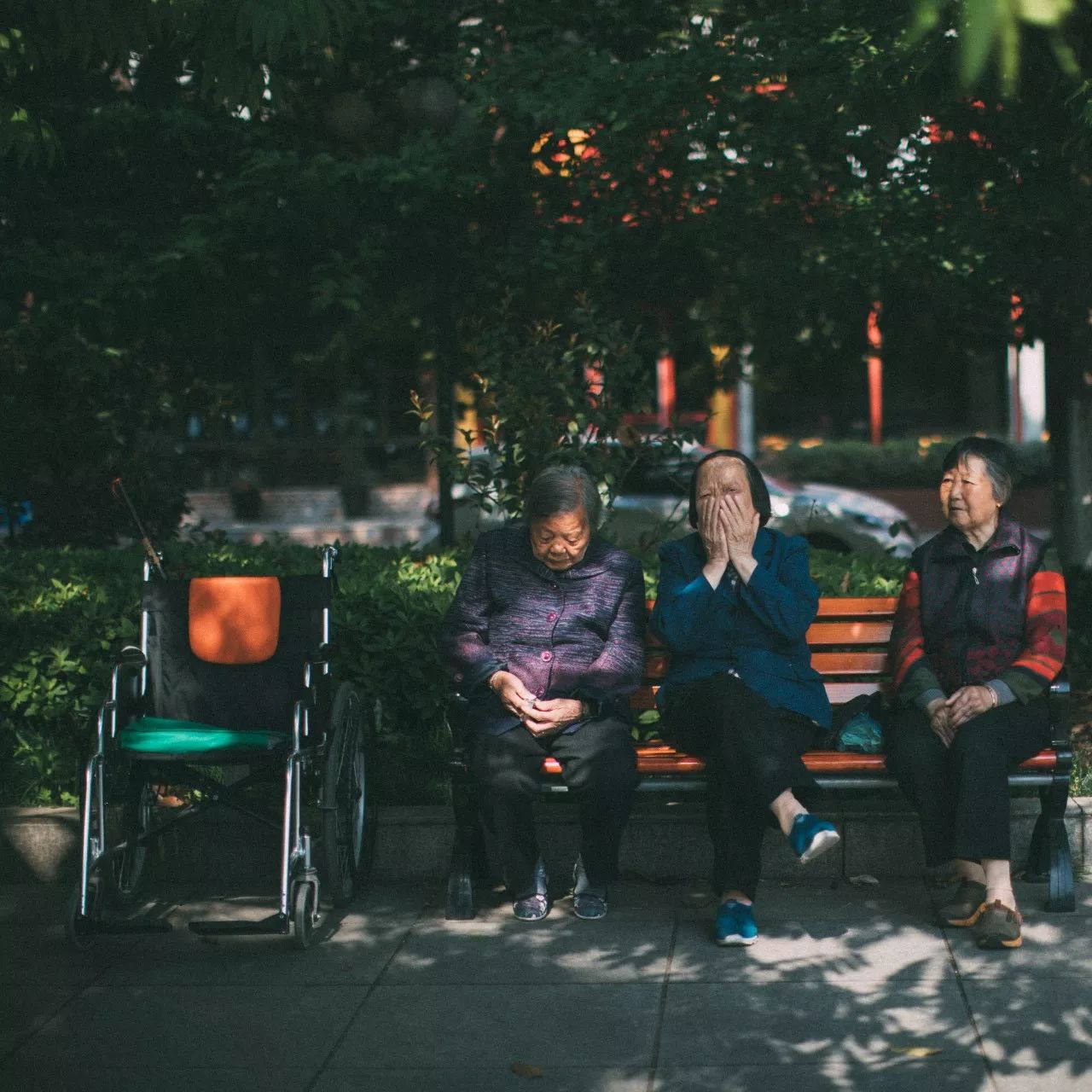 莫干山·三秋美宿，一日不見三秋盼兮