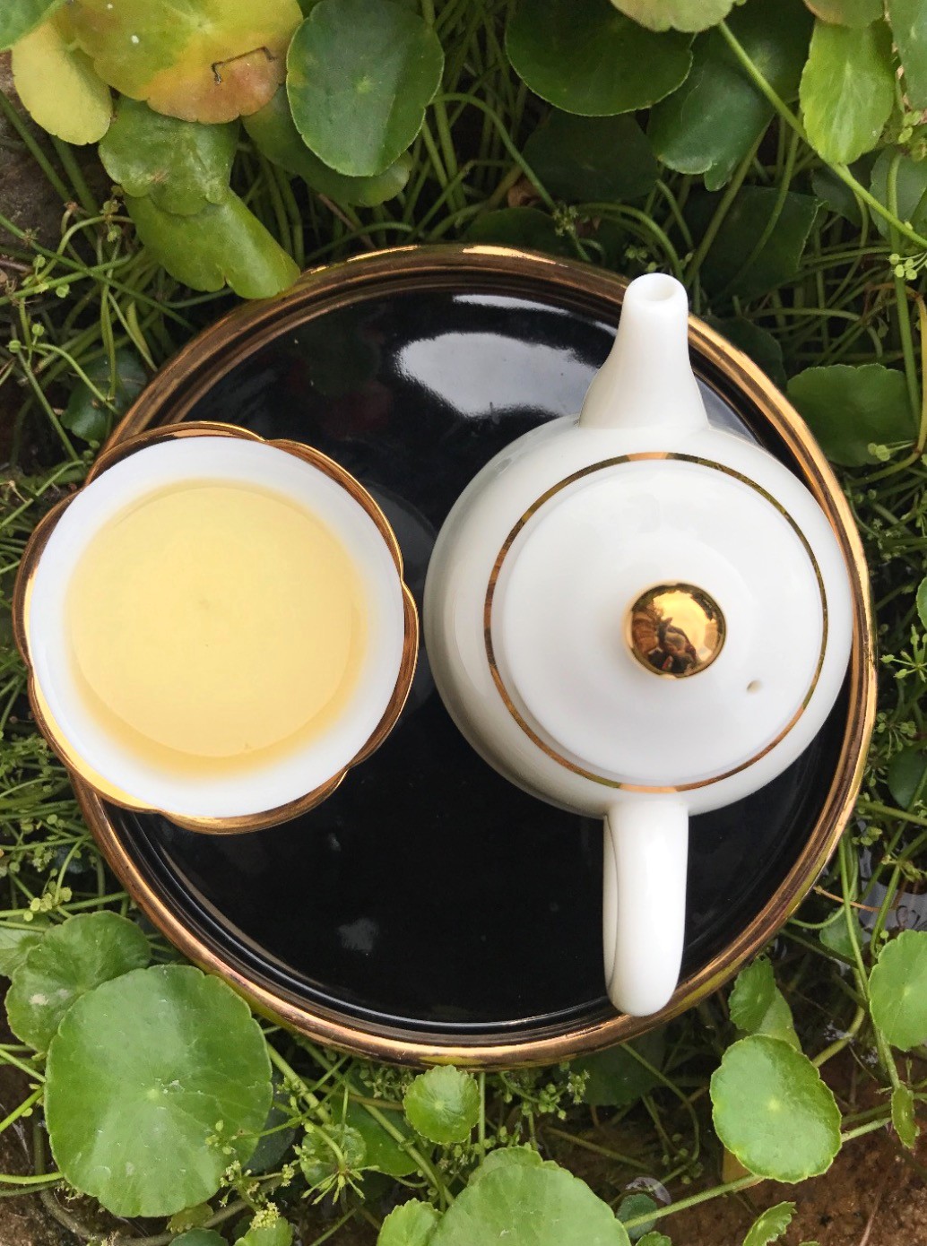 中國(guó)陶瓷·傳承中國(guó)傳統(tǒng)文化