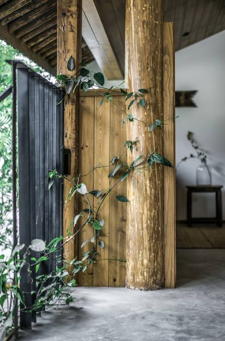 大理古城·果念，按照自己喜歡的方式活著