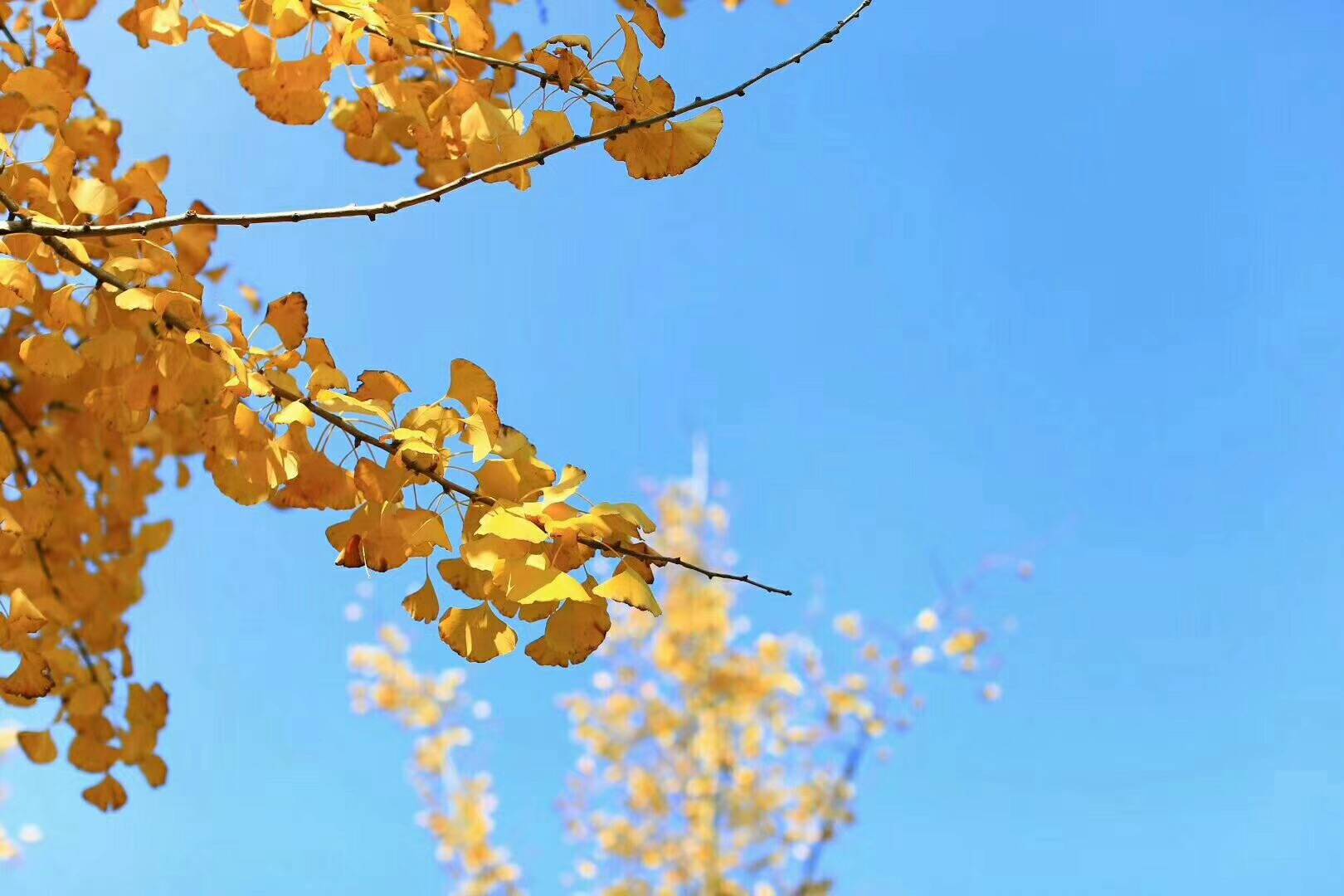 大理洱海·歸心，歸心看海煙雨江南