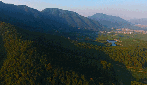 杭州·長(zhǎng)鏡頭，一所電影時(shí)光主題民宿