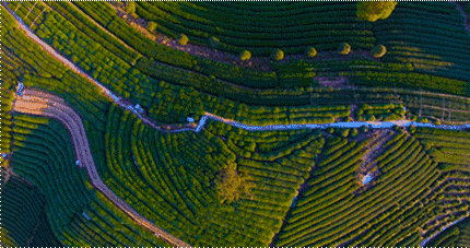 杭州·長(zhǎng)鏡頭，一所電影時(shí)光主題民宿