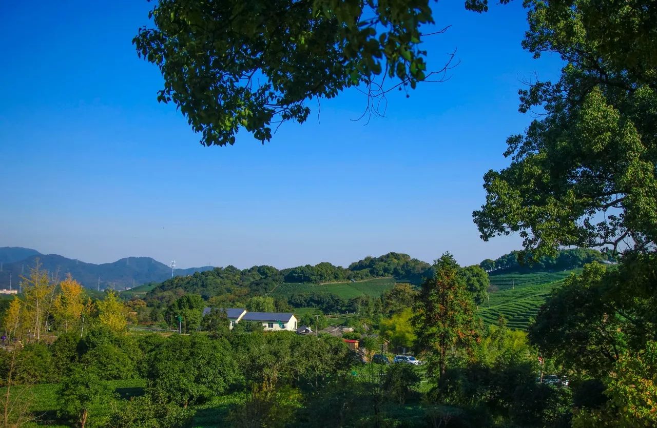 杭州·長(zhǎng)鏡頭，一所電影時(shí)光主題民宿