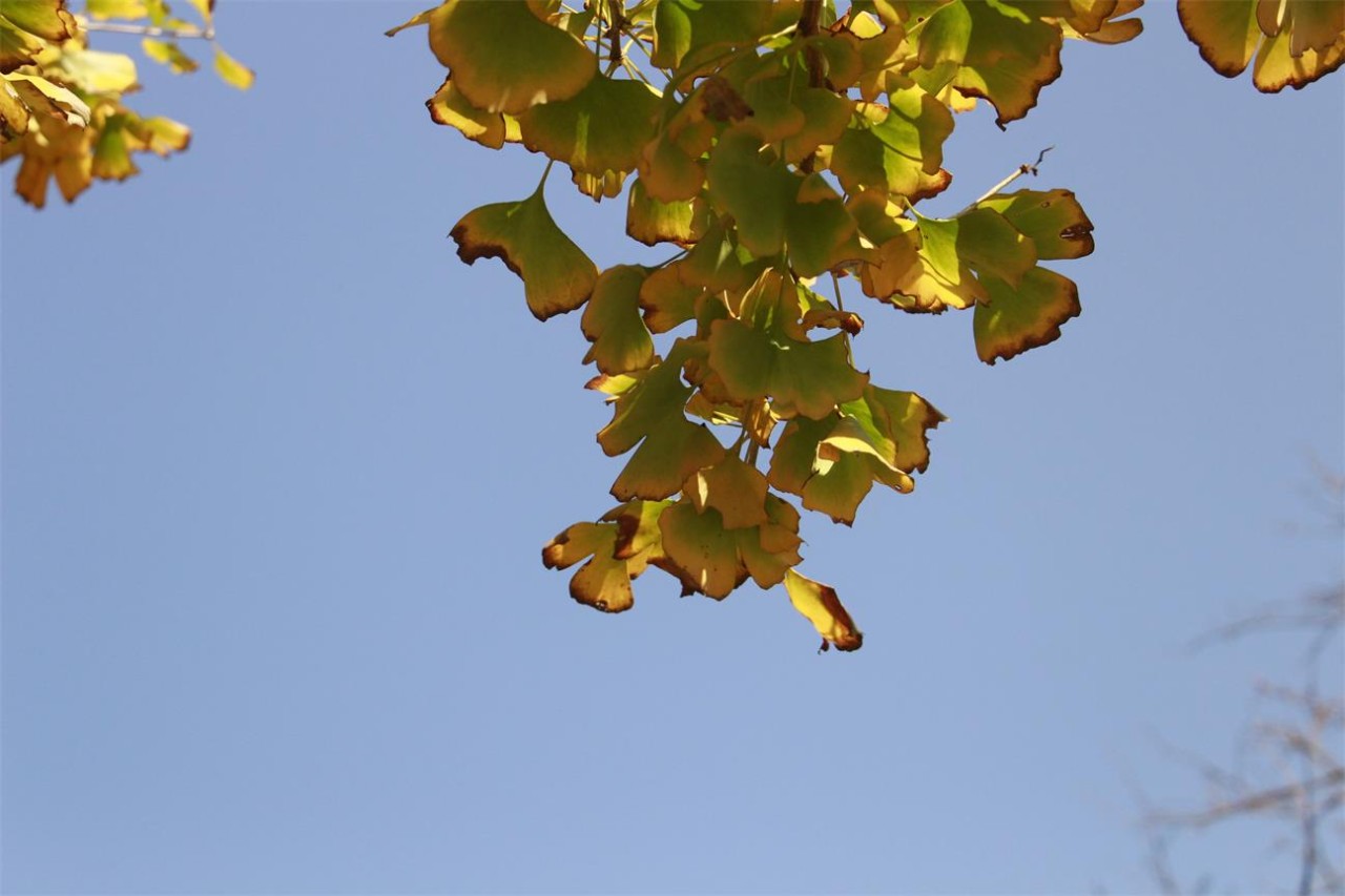 杭州·長鏡頭，一所電影時(shí)光主題民宿