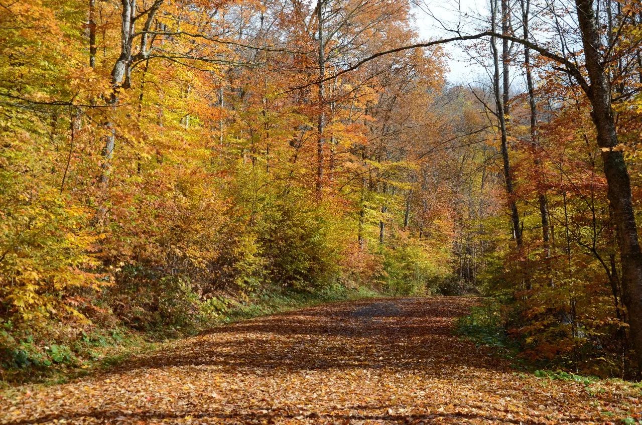 杭州·長鏡頭，一所電影時(shí)光主題民宿