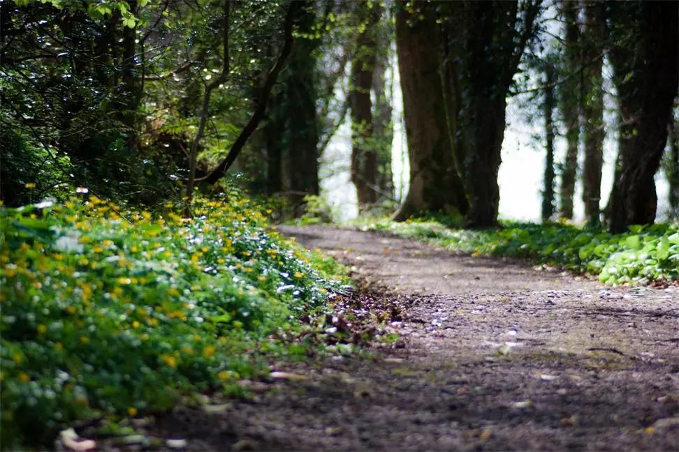 杭州·長(zhǎng)鏡頭，一所電影時(shí)光主題民宿