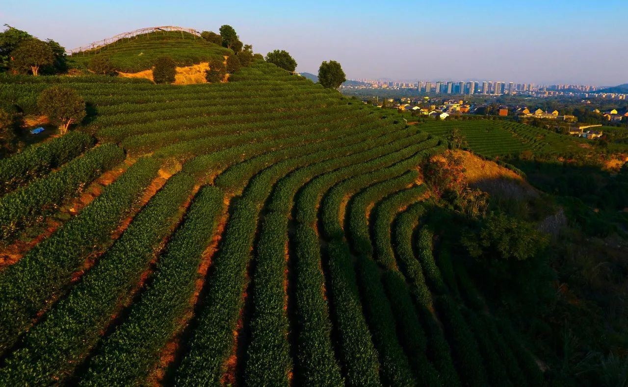 杭州·長(zhǎng)鏡頭，一所電影時(shí)光主題民宿