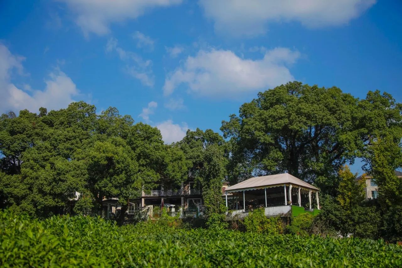 杭州·長(zhǎng)鏡頭，一所電影時(shí)光主題民宿