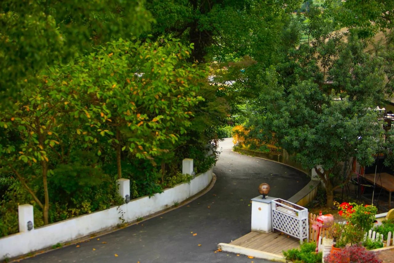 杭州·長鏡頭，一所電影時光主題民宿