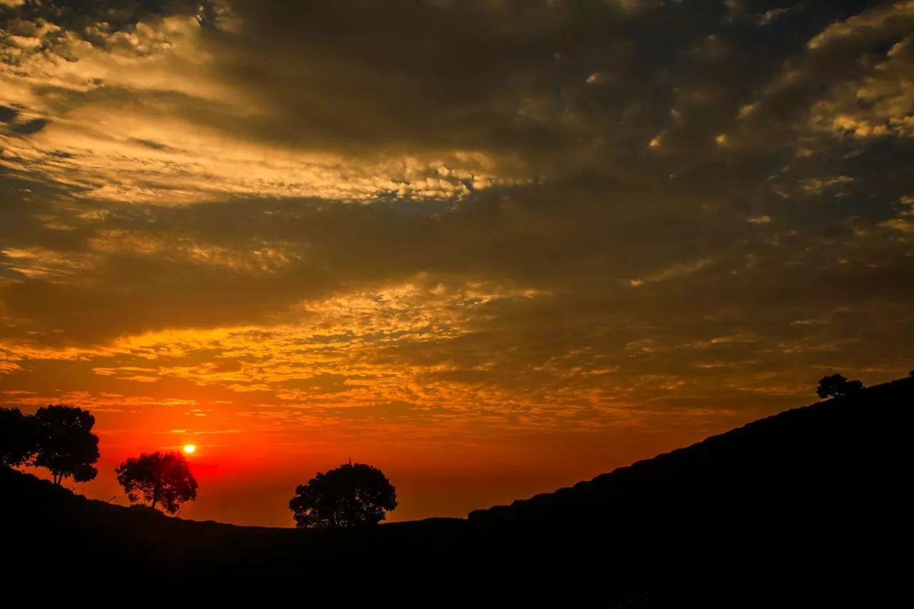 杭州·長(zhǎng)鏡頭，一所電影時(shí)光主題民宿