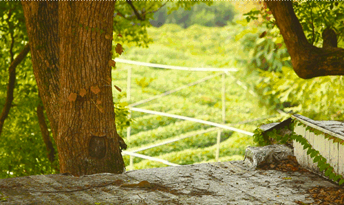 杭州·長鏡頭，一所電影時光主題民宿