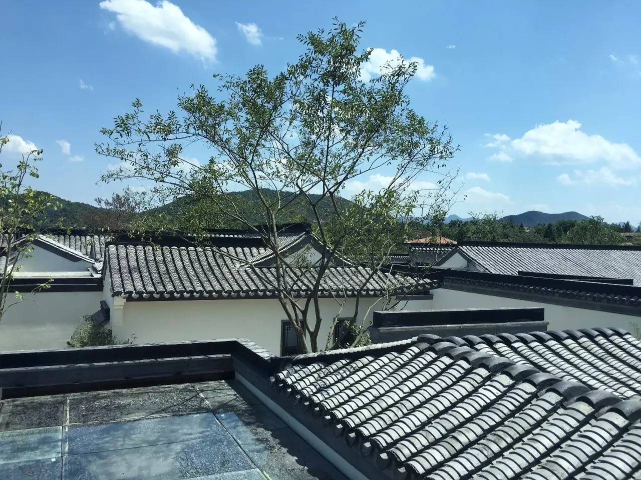 10所綠城·中式宅院，何必羨“西風(fēng)”中式乃最美