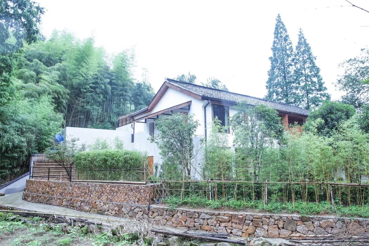 莫干山·西璞，睡進梵高的畫里