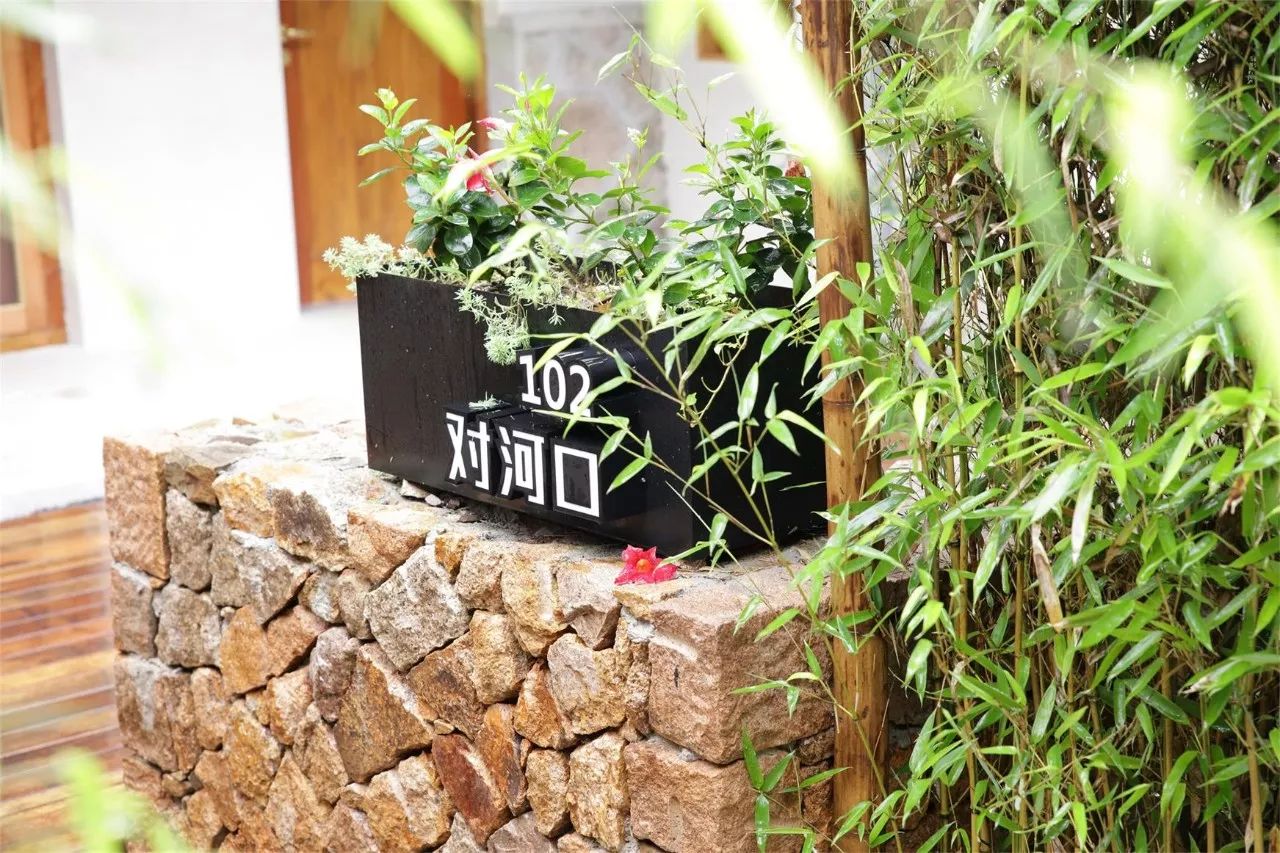 莫干山·西璞，睡進(jìn)梵高的畫里