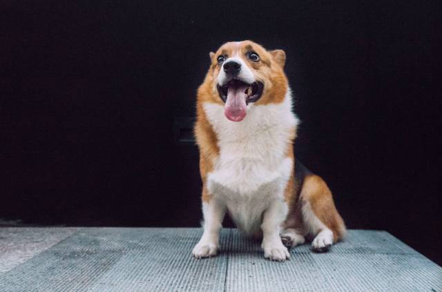 杭州·簡象，一種別樣的復古情調