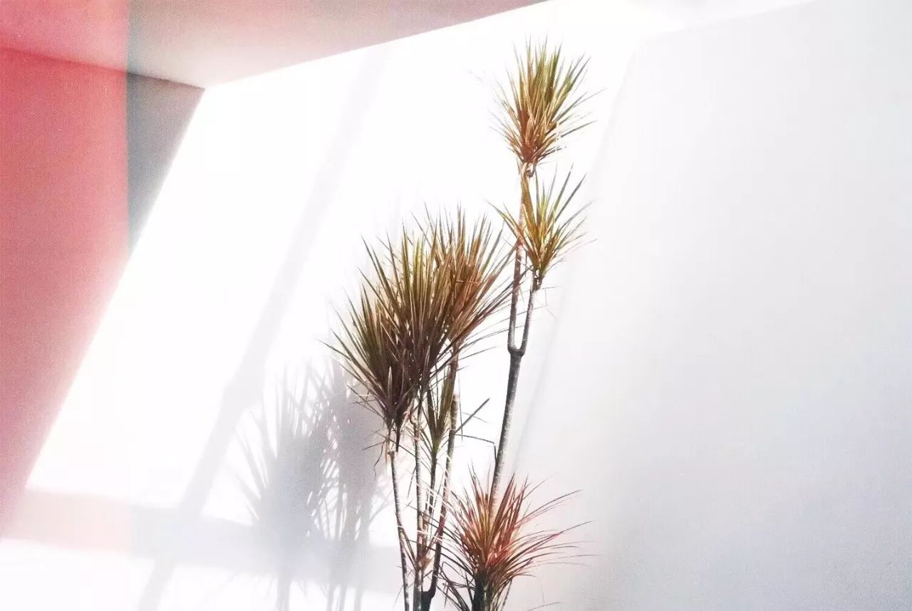 杭州·簡象，一種別樣的復古情調(diào)