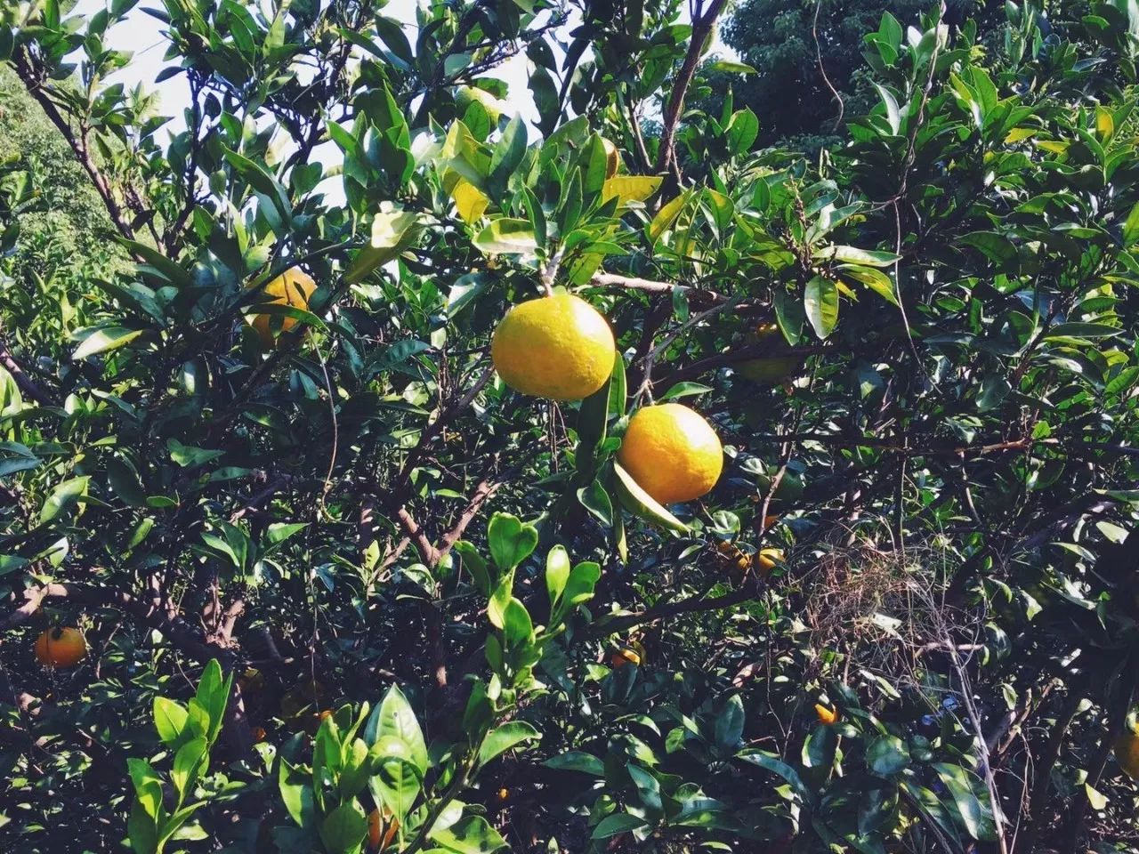 浙江海寧·名力朗豪酒店，十八般武藝帶你上天