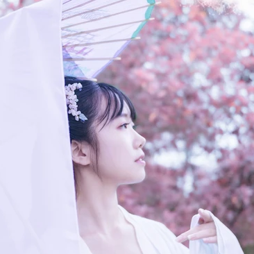 粉紫小清新帶團(tuán)扇傘頭像，唯美古風(fēng)真人頭像