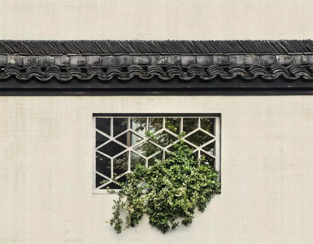 蘇州·七隱藝宿家，給這座姑蘇古城一個(gè)恣意江湖