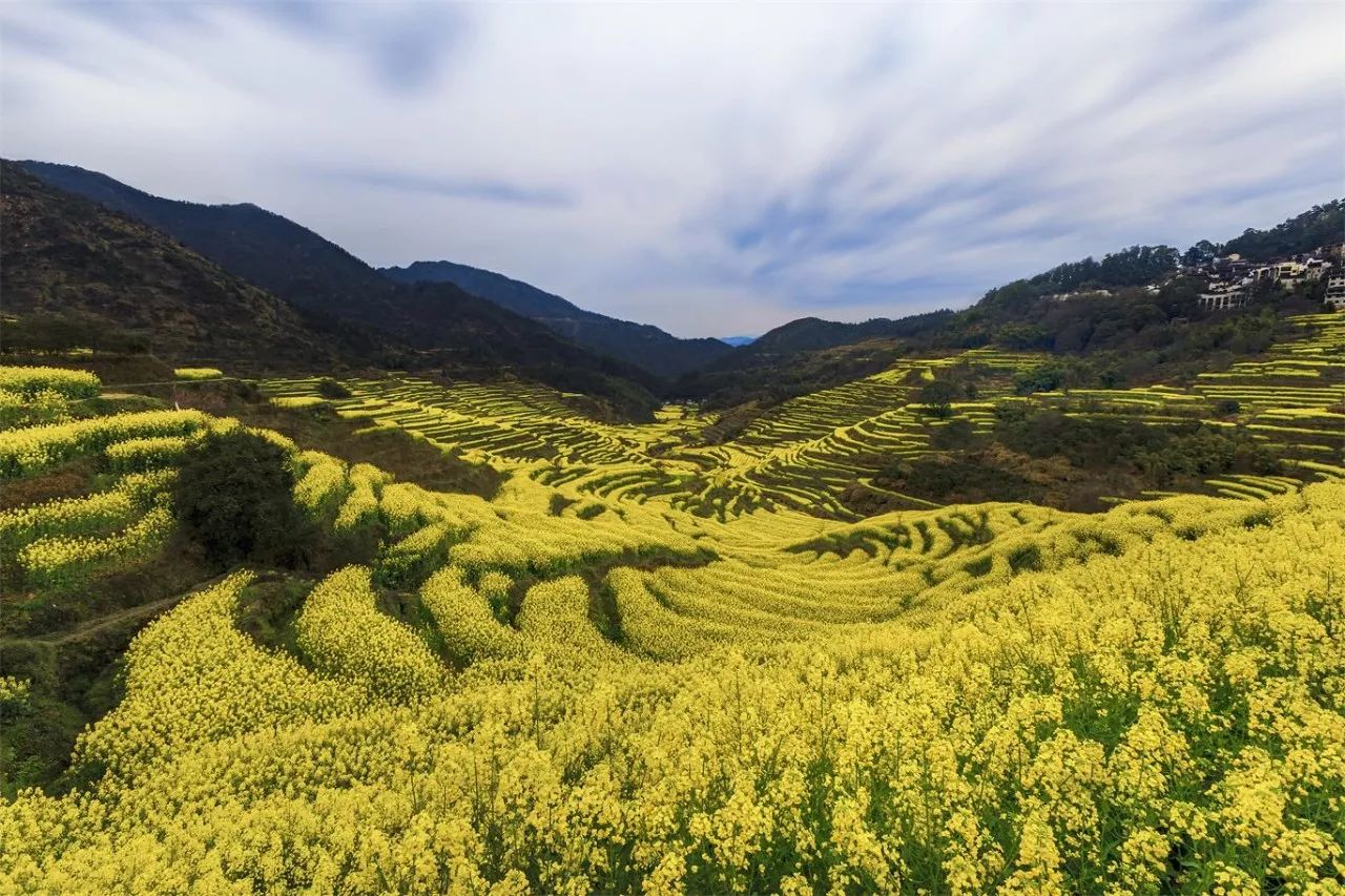 婺源·物上，平淡溫柔別有滋味