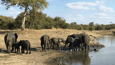 婺源·物上，平淡溫柔別有滋味