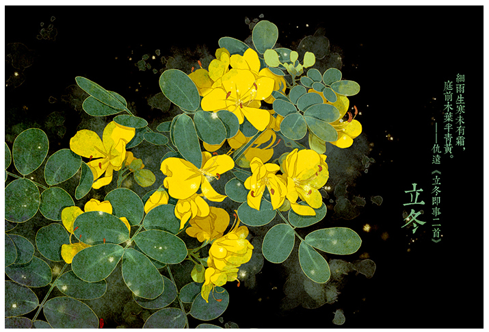 唯美的24節(jié)氣花卉插畫，品味古老的詩之清韻