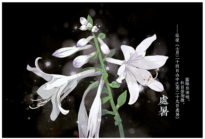 唯美的24節(jié)氣花卉插畫，品味古老的詩之清韻