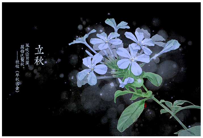 唯美的24節(jié)氣花卉插畫，品味古老的詩之清韻