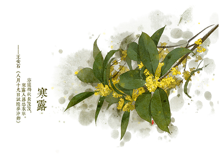唯美的24節(jié)氣花卉插畫，品味古老的詩之清韻