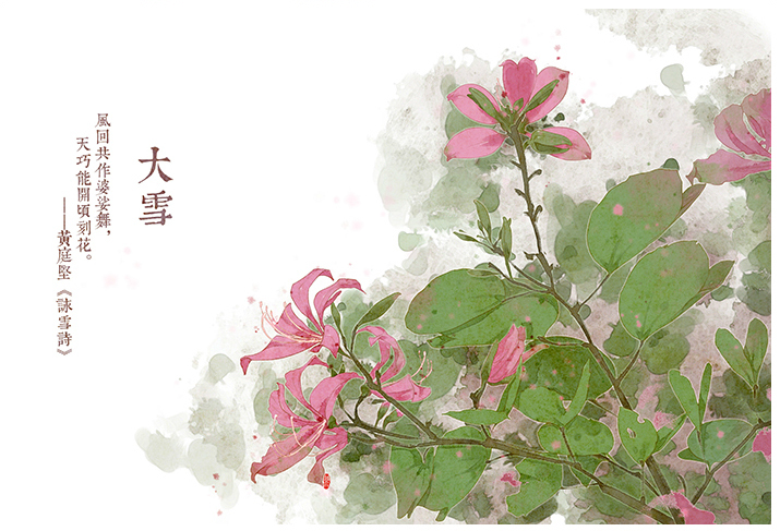 唯美的24節(jié)氣花卉插畫，品味古老的詩之清韻