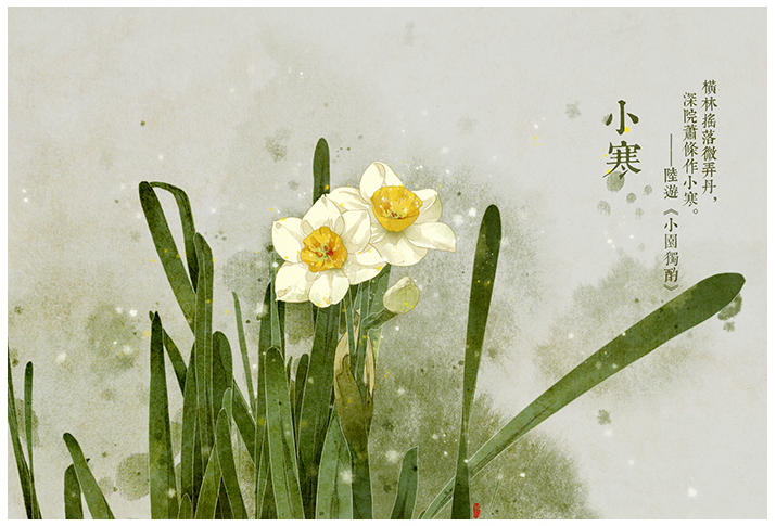 唯美的24節(jié)氣花卉插畫，品味古老的詩之清韻