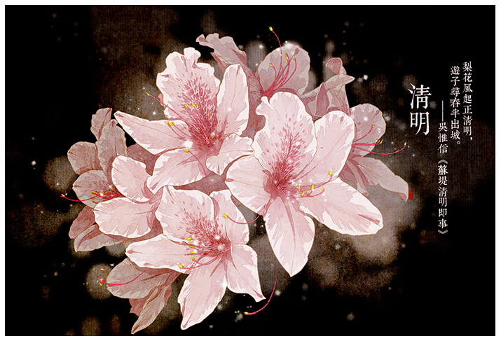 唯美的24節(jié)氣花卉插畫，品味古老的詩之清韻