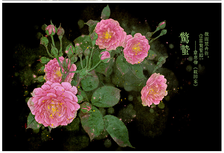 唯美的24節(jié)氣花卉插畫，品味古老的詩之清韻