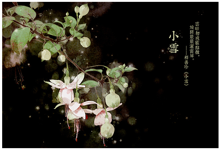 唯美的24節(jié)氣花卉插畫，品味古老的詩之清韻