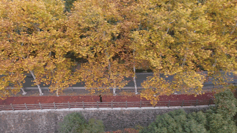 桐廬·流云，古村也有了云的靈動(dòng)氣息