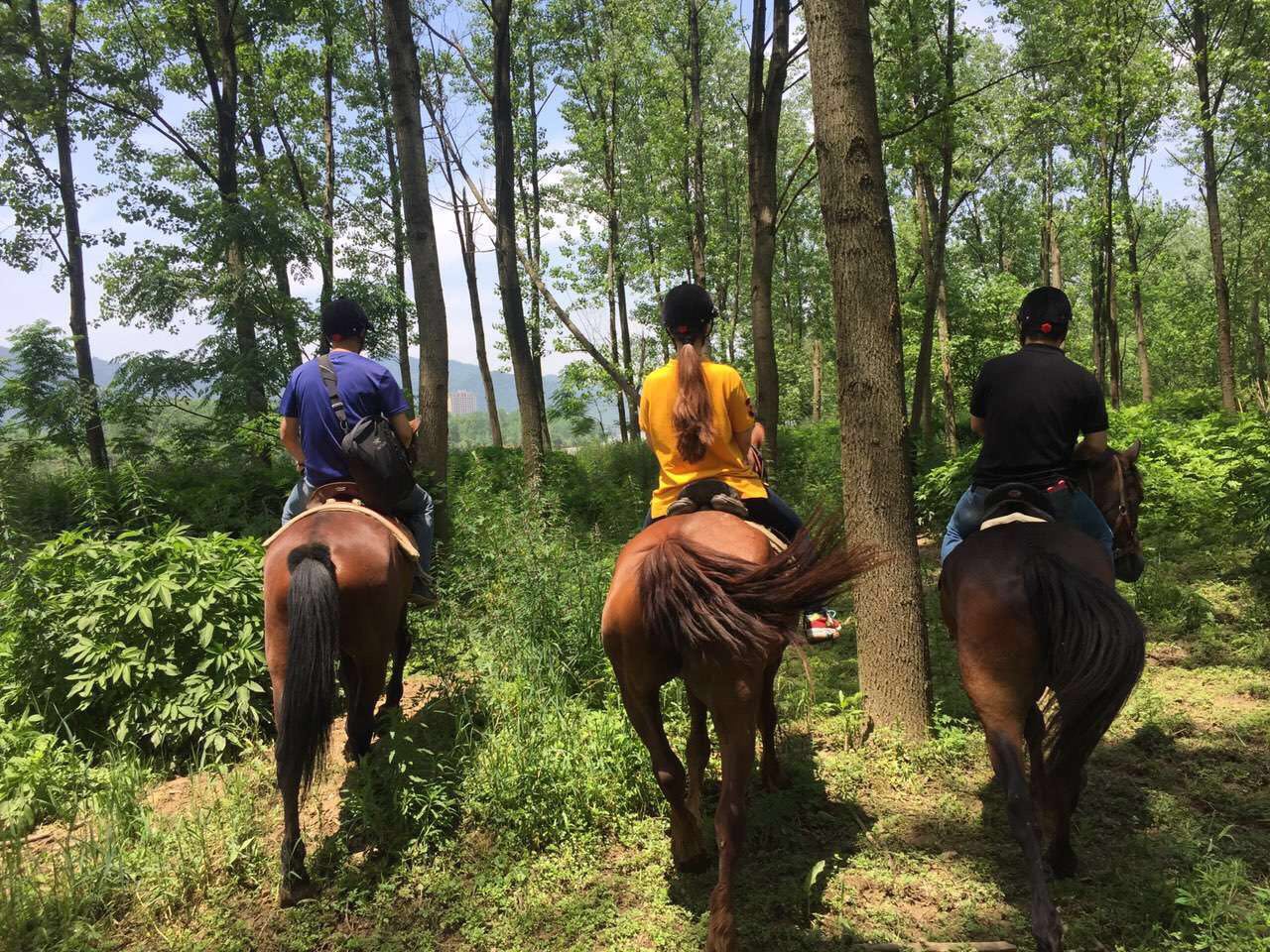 桐廬·流云，古村也有了云的靈動(dòng)氣息