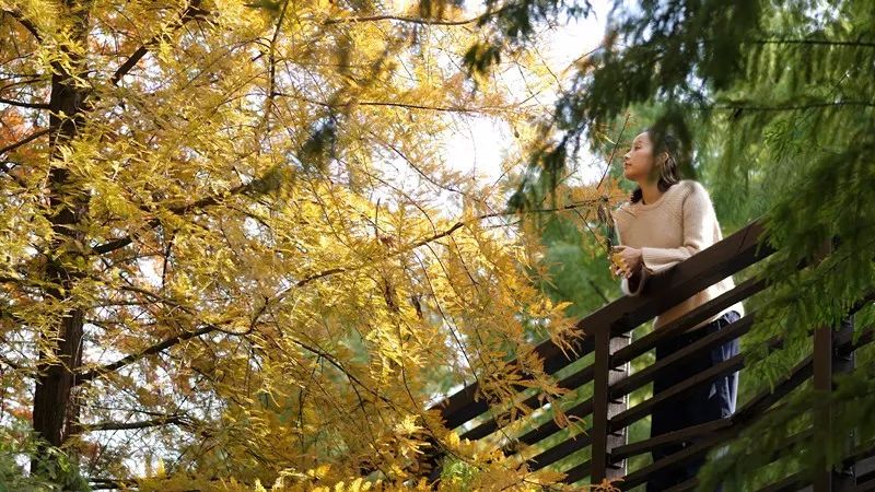 蘇州·萬伊，拾起漫長歲月里的時(shí)光遺珠