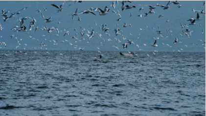 大理·無字號(hào)，背靠蒼山面朝洱海虛度時(shí)光