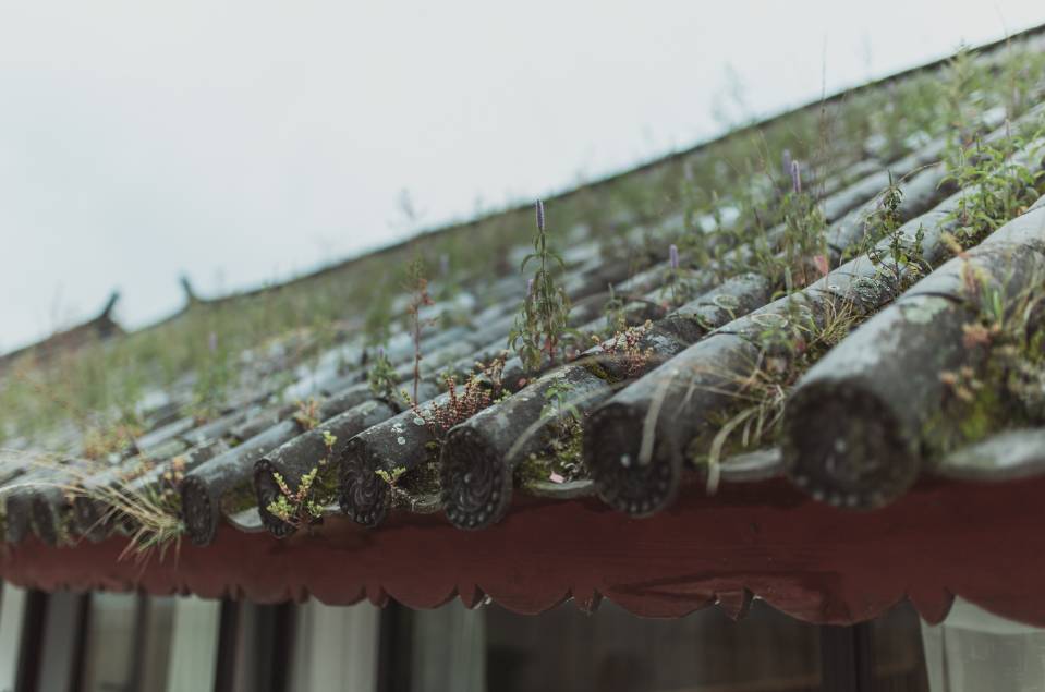 大理·無(wú)字號(hào)，背靠蒼山面朝洱海虛度時(shí)光