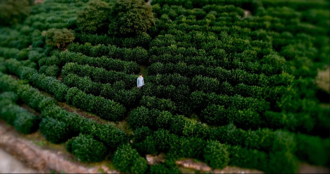 蘇州·天易居，西山鎮(zhèn)獨(dú)居一隅宛如桃源